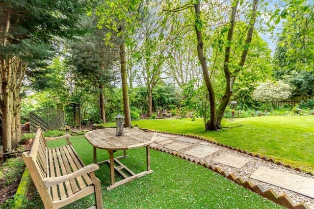 How about this for a charming spot to relax in the woodland garden?