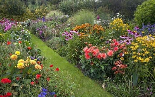 The Salvation Army are having a plant fair in Somercotes