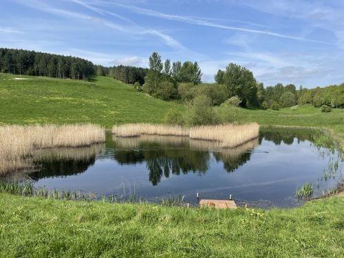Escape busy urban life in the tranquillity of Oxclose Wood and go for a nice and tranquil walk in nature. Enjoy the mixture of woodland, wetland, grassland and wildlife. Oxclose Wood in Mansfield Woodhouse has a 4.6 rating on Google reviews.