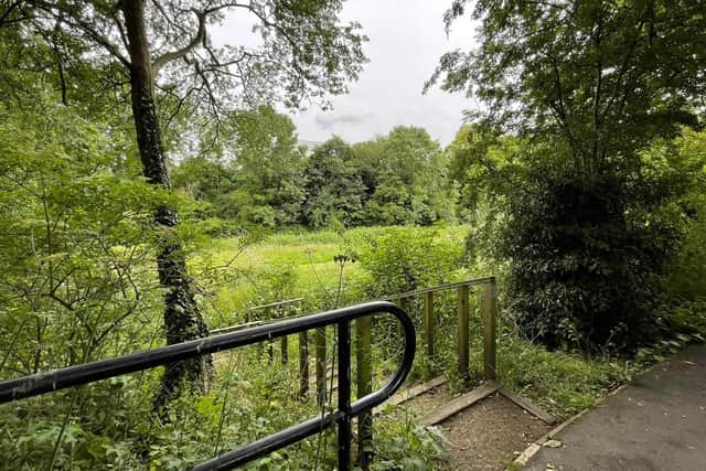 Mansfield Council reported its weed spraying this summer had not met expectations.