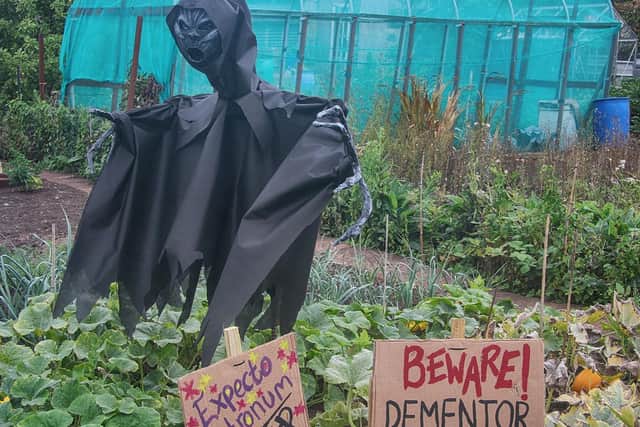 A few Harry Potter characters were entered into the scarecrow competition.