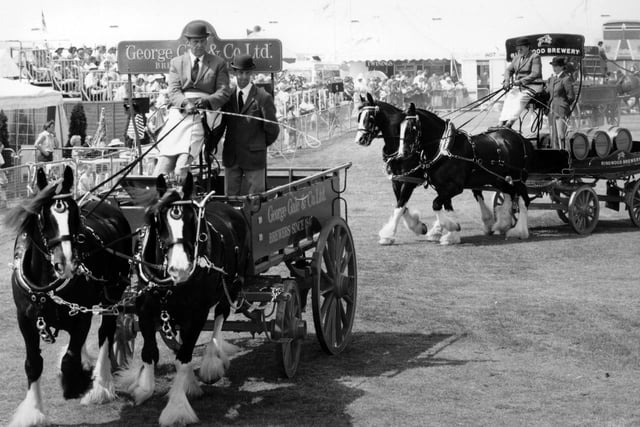 George Gale & Co's horse drawn wagon followed by Ringwood Brewery at the Southsea Show in August 1995. The News PP4099