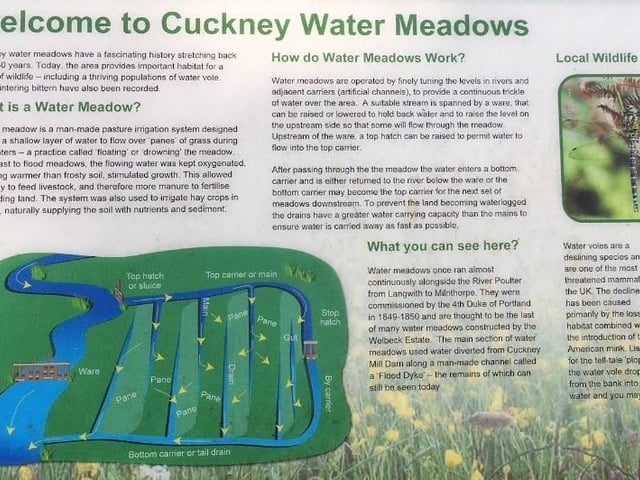 Cuckney Water Meadows is a picturesque area within the historic Welbeck Estate near Mansfield. The meadows and associated trails are part of a scenic countryside walk that is open to the public, although visitors should note that this is a rural area with limited on-site facilities. Terrain: The route includes a range of surfaces with some slight inclines, fields, steps, and stiles. It may be uneven in parts, so sturdy footwear is recommended.