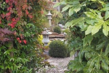 East Meets West open garden at Sutton