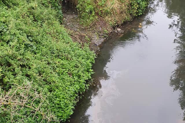 Petrol in the River Maun