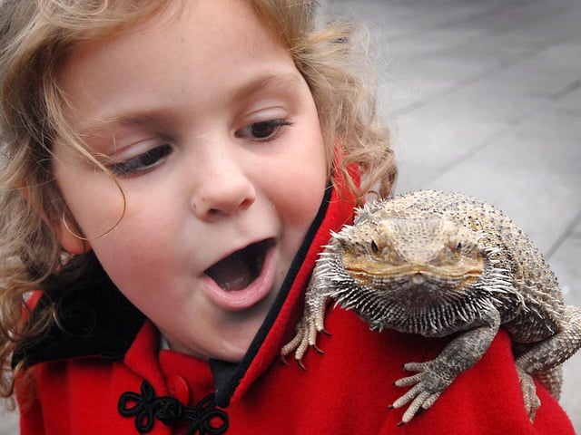Elicia Moore gets a surprise on Mansfield Market Place today as animals from White Post Farm bring some Easter fun