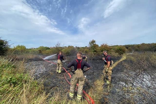 Firefighters at the scene of the grass fire.