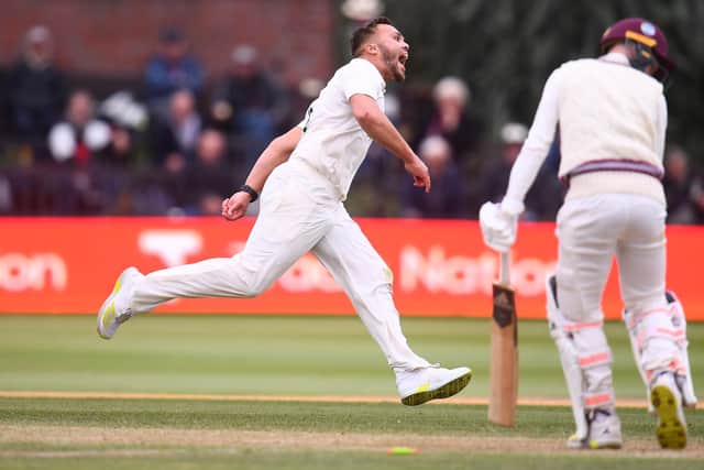 Dane Paterson celebrates the wicket of Lewis Goldsworthy. (Photo by Harry Trump/Getty Images)