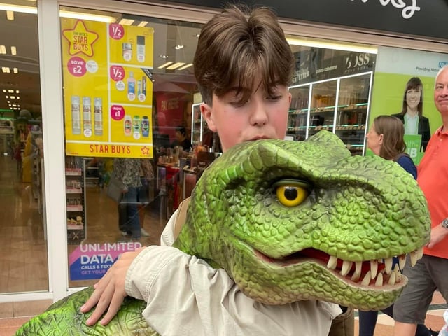 A number of dinosaurs could be seen at the shopping centre.