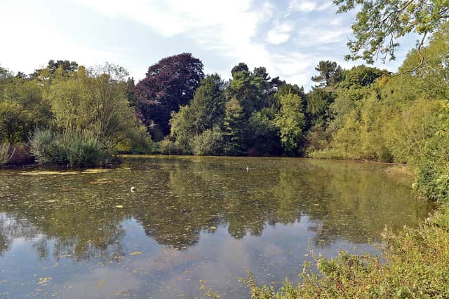 Pleaseley Vale Business Park. Swans have been shot on the lake.