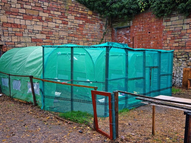Wild birds, including ducks and chickens, are kept outside and undercover to abide by Avian influenza guidelines.