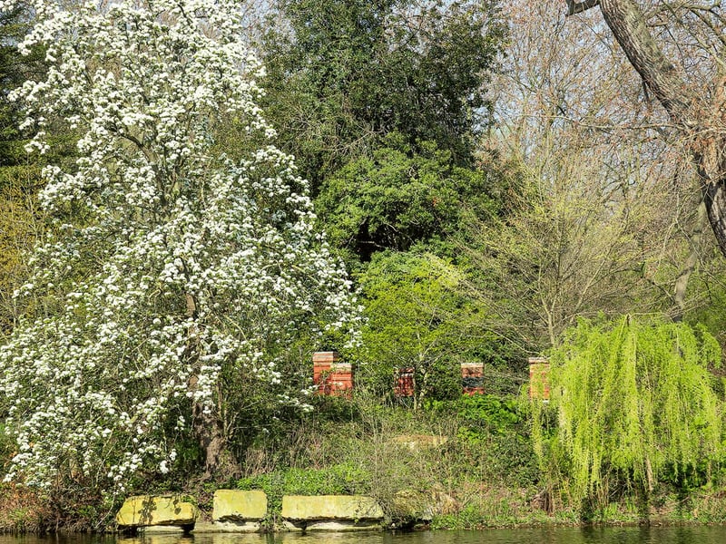 Five beehives are located on the island set within the Palace’s lake