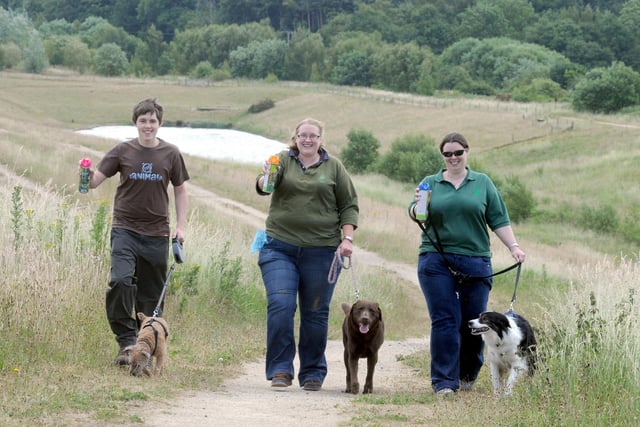 Volunteer Jamie Murfin and his dog Molly, Ranger Amy Chandler and her dog Fudge and Amanda Twine from the Forestry Commission and her dog Chaos pictured at Ollerton Pit wood at the start of a campaign to urge owners to pick up the mess. What year?