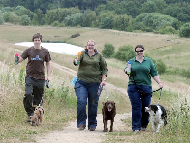 Volunteer Jamie Murfin and his dog Molly, Ranger Amy Chandler and her dog Fudge and Amanda Twine from the Forestry Commission and her dog Chaos pictured at Ollerton Pit wood at the start of a campaign to urge owners to pick up the mess. What year?