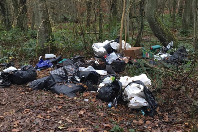 Areas of forest down Deerdale Lane/Sherwood Pines choked with black bags and other rubbish