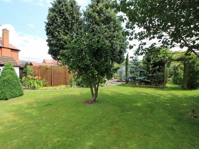 A wider shot of the mature front garden, which is so pleasing on the eye.