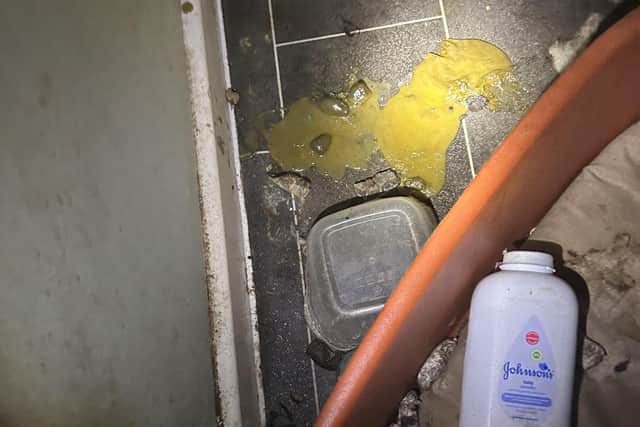 A shocking image of the conditions the dogs were found in, as Donna said the cockapoos were surrounded by urine and faeces.