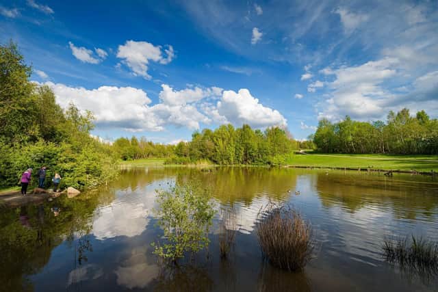 Colliers Wood Nature Reserve has retained its Green Flag Award status for the 17th year in a row. Photo: Submitted