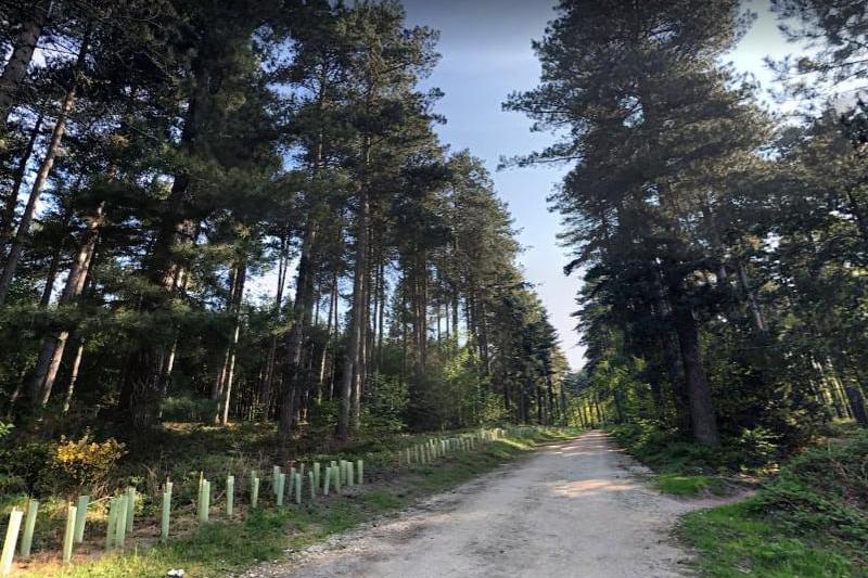 Kitchener Trail is a beautiful 13.8 kilometre loop route located near Mansfield.