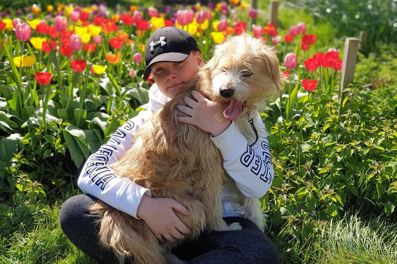 Max is a rescue and greatly loved in his furr-ever home. Elaine says: "He is very much part of our family and he gets us all going on walks which we spend time as a family together."