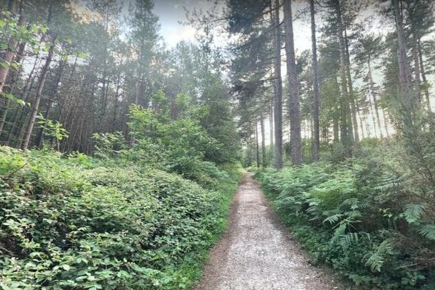 Fancy a bike ride instead? Sherwood Pines offers a variety of routes perfect for summer.
