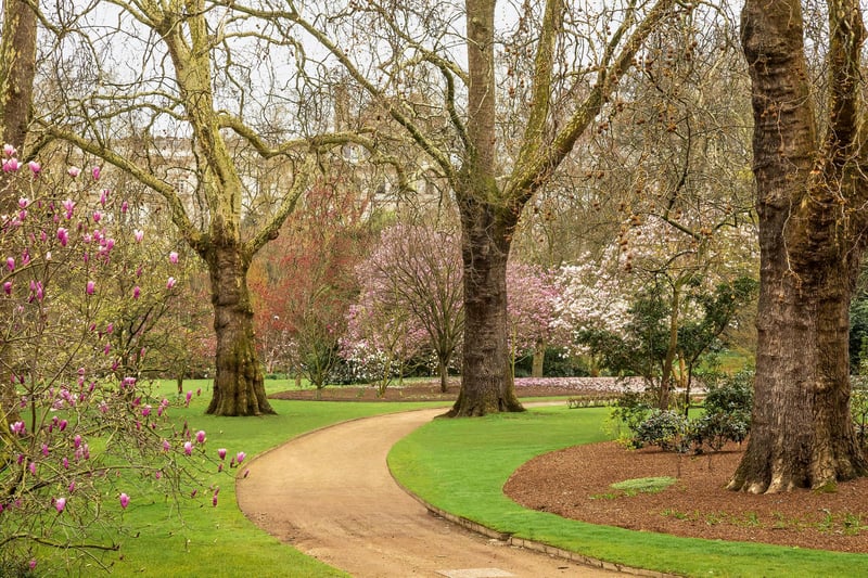 A curving path leading past the Magnolia Dell to the Rose Garden