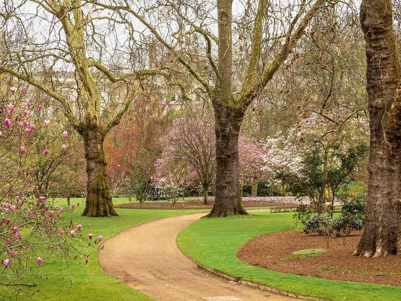 A curving path leading past the Magnolia Dell to the Rose Garden