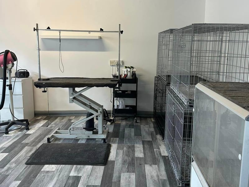 Mucky Pups, based on Chesterfield Road North, offers a range of services such as dog grooming, home boarding and dog walking. It was another highly recommended 'pet' stop for dog owners in the area. Those interested in services can call 01623 818860 or email Rorymac71@mac.com