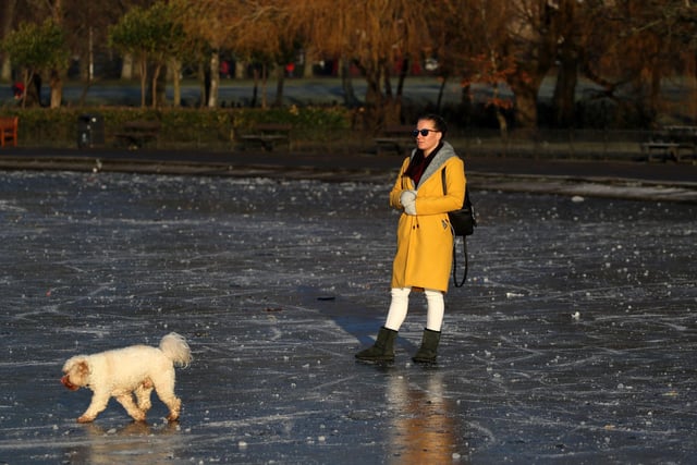 A person walks their dog on a frozen pond at Victoria Park