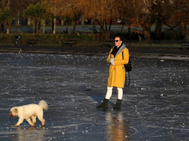 A person walks their dog on a frozen pond at Victoria Park