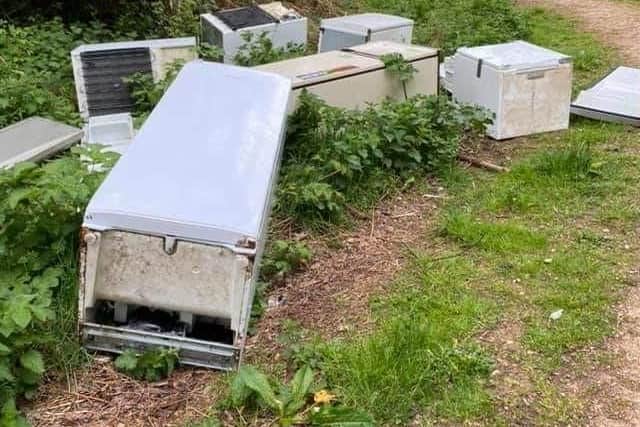 Just some of the fridges dumped at the popular beauty spot.