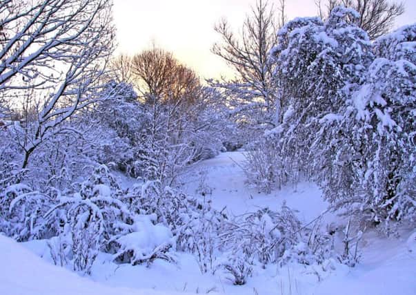 Arctic air is set to bring cold winds and snow to much of the UK this week.