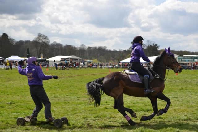 Horse boarding at Thoresby Country Fair