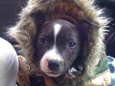 Awwww