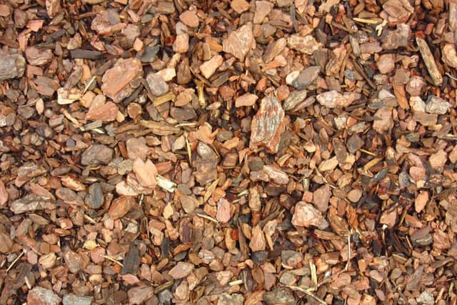 All dog owners should be well aware that eating chocolate could poison their pet, but garden bedding mulch made from cocoa beans can be dangerous too.