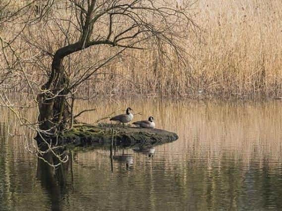 Photo: Instagram user @steve_marlow_photography
