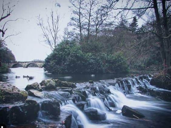 Photo: Instagram user @ayup_me_duck