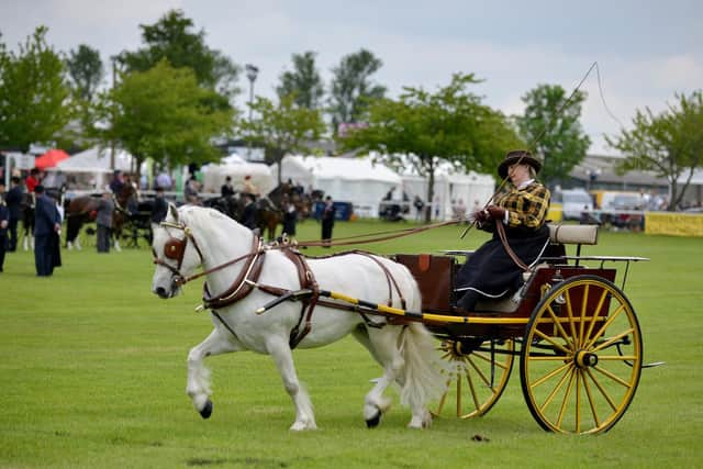 Last year's show