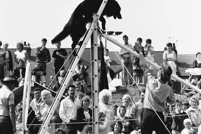 1989: Crowds gather to watch this dog being put through its paces on the agility course at the Mansfield Carnival. Did you watch this event?