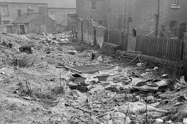 Mansfield 1969.