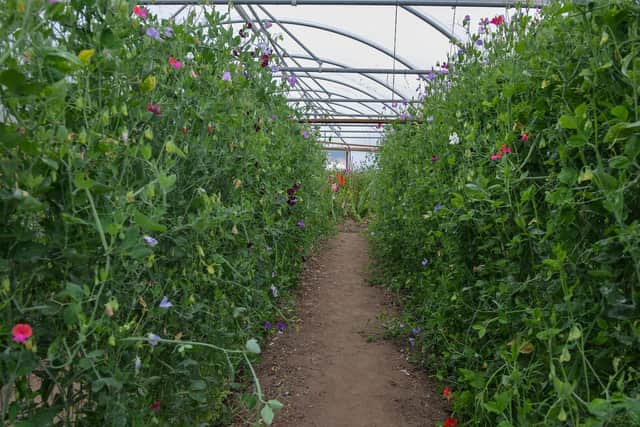 It is a beautiful 1.5 acre garden site.