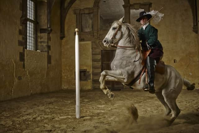 Bolsover Castle horses. Photo by Glen Burrow for English Heritage.