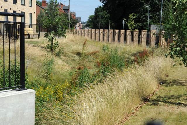 The overgrown stream on Darlison Court, Ogle St, Hucknall.