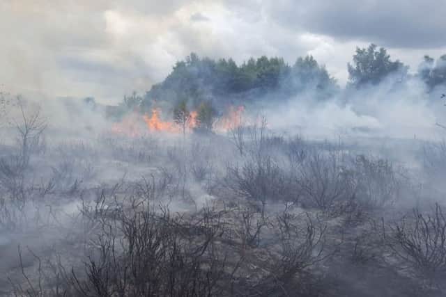 The fire at Oak Tree Lane