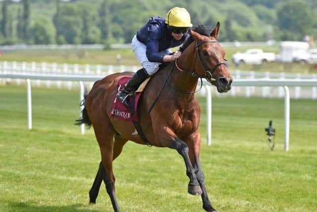 Crystal Ocean, one of the leading fancies for this Saturday's big race, the King George VI and Queen Elizabeth Stakes, at Ascot.