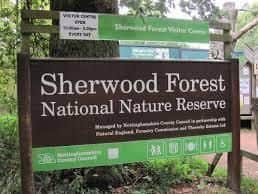 Sherwood Forest visitors centre is ideal for all of the family - and it's free!