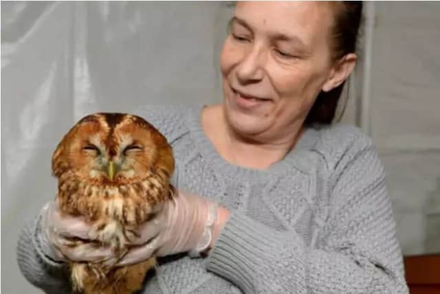 Cheryl Martins of Mansfield Wildlife Rescue.