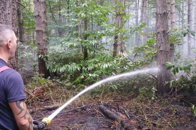 Pictures of the fire from the fire service.