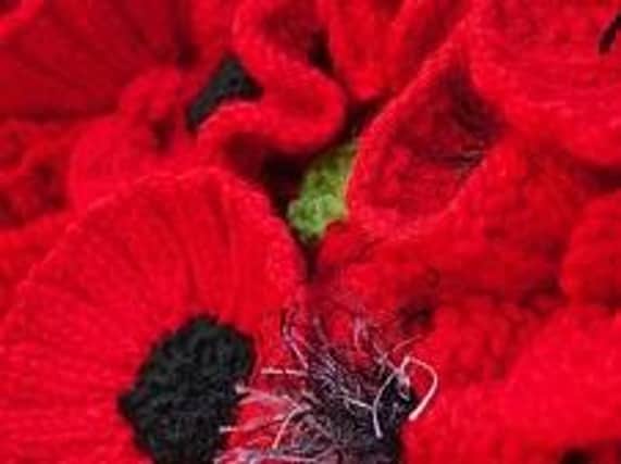 The wool poppies will be donated to the Mansfield Peoples Poppies Appeal.