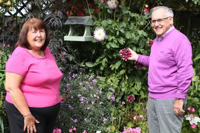 June and Tony Harvey in their award-winning garden.